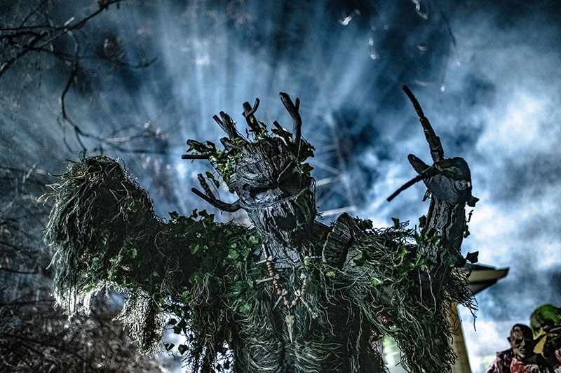 Swamp Monster