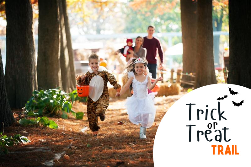 Tick or Treat Trail