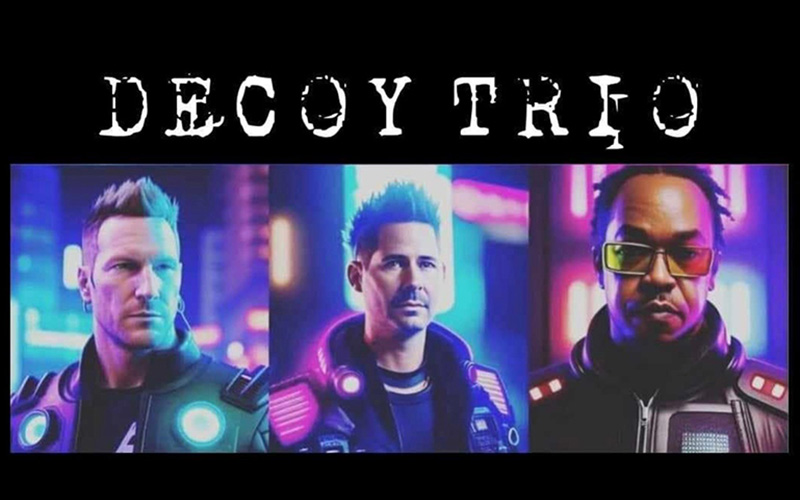 Decoy
