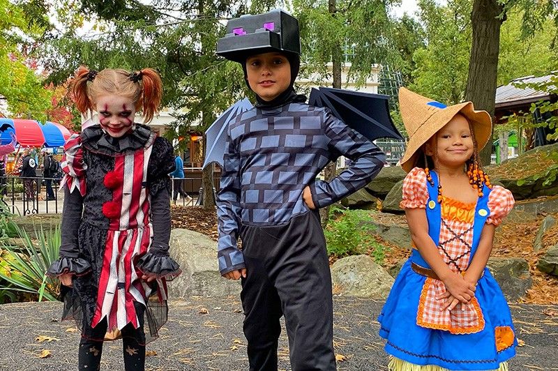 Unveiling the Thrilling World of Phantom Fall Fest: Unforgettable Family Fun