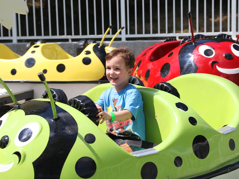 Rides  Adventureland Resort